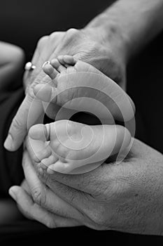 Black white shade beautiful shape hands of mother, hold tiny newborn baby feet