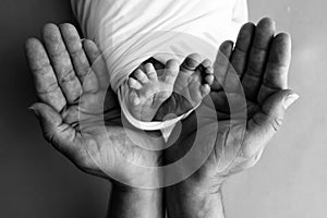 Black white shade beautiful shape hands of mother, hold tiny newborn baby feet