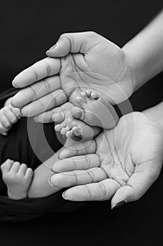 Black and white shade beautiful shape hands of mother, hold tiny newborn baby feet black background