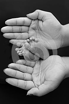 Black and white shade beautiful shape hands of mother, hold tiny newborn baby feet on black background with love,