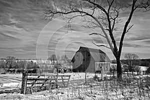 Black and white shot of midwest farm with a barn, bare tree, and fence in snow.