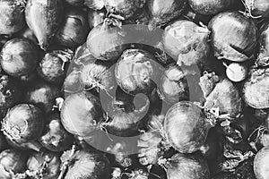 Black and white shot of a pile of onions