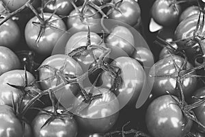 Black and white shot of a pile of tomatoes
