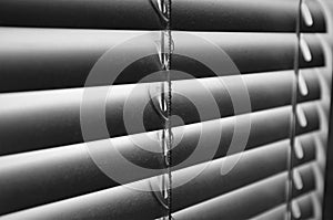 Black and White Shutter Blinds Closeup