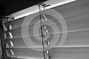 Black and White Shutter Blinds Closeup