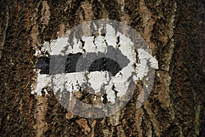Black and white sign on a tree painted with paint. The arrow indicates a change in the direction of the trail. Path marking in the