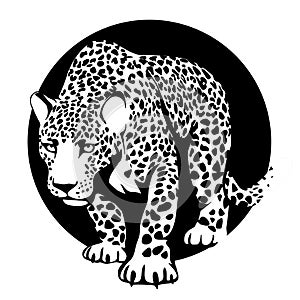 Black and white silhouette of a leopard in a black circle