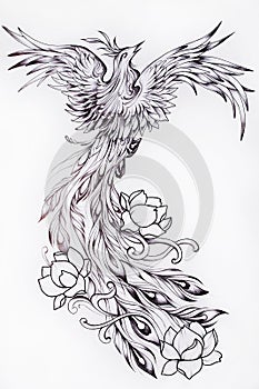 Black and white sketch of a beautiful Phoenix with flowers.