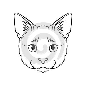 Black and white sketch of cats head, face of pet animal hand drawn vector Illustration