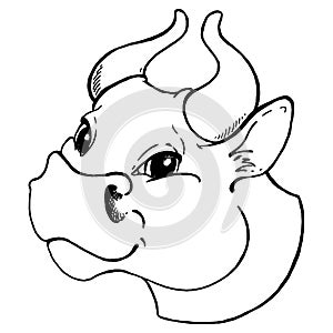 Black and white sketch of a cow`s face. Vector portrait.