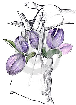 black and white sketch of a hand with a package of purple tulips