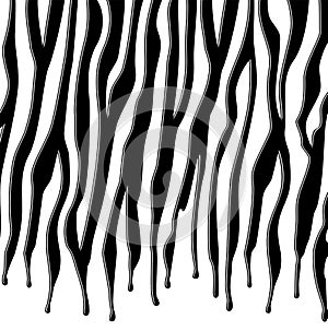 vector black and white skin texture of zebra