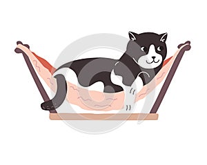 Black and white sleepy kitten lies in a pet bed. Tired charming cat is resting in a pink cat hammock. Cute spotted