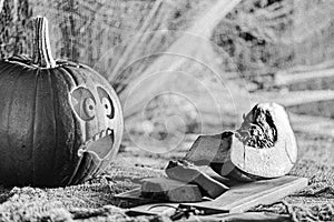 Black and white,  slightly blurred photo with strong grain effect. One pumpkin watching with scared on other sliced pumpkin.