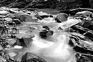 Black and White Slow Shutter Speed Photography of a Small River with Mossy Rocks in the Forest.