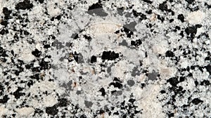 Black and white speckled granite stone texture