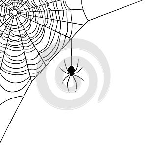 Black and White Spider Web Corner Design