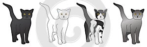 Black white spotted grey color cat set vector drawing on isolated background