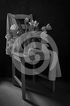 Black and white still life Tulips on a chair