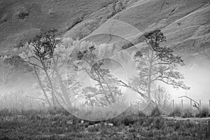 Black and white Stunning Autumn landscape sunrise image looking towards Borrowdale Valley from Manesty Park in Lake District with