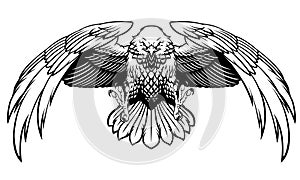 Black and White Style of Fierce Eagle