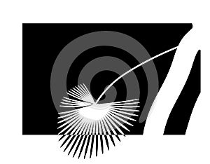 Black-white stylized drawing of a palm leaf. Isolated on a white background without mesh and gradient. illustration