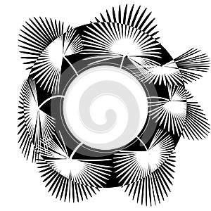 Black-white stylized drawing of palm leaves in a circle. Place for advertisement announcement. illustration