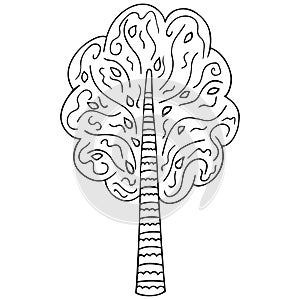 Black and white stylized lush tree with zentangle ornament. Hand-drawn birch, oak or alder. Isolated floral design element, colori