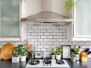 Black and white subway tiled kitchen with numerous plants and framed taxidermy insect art photo