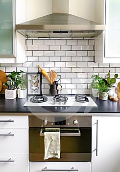 Black and white subway tiled kitchen with numerous plants and framed taxidermy insect art