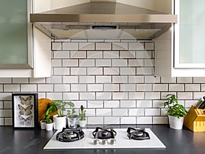 Black and white subway tiled kitchen with numerous plants and framed taxidermy insect art