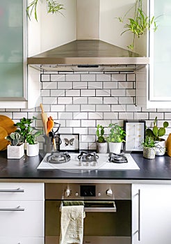 Black and white subway tiled kitchen with numerous plants and framed taxidermy insect art photo