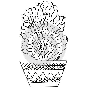 Black and white succulent Trichocereus in a pot. Cactus. Isolated botanical doodle for coloring book.
