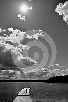 Black and white summer landscape with lake