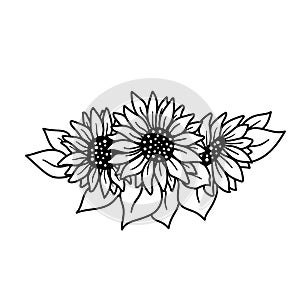 Black and white sunflower botanical illustration.