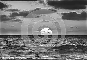 Black White Surfer Sunset La Jolla Shores Beach San Diego California