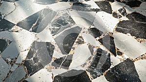 Black and White Terrazzo Floor with Sunbeams