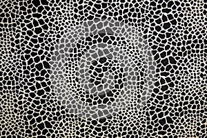 Black White Texture Lizard Skin Print