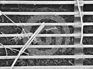 Black and white texture of a manhole grate