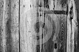 Black and white texture of old vertical wooden planks