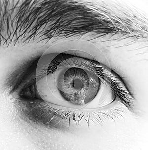 Black and white textured eye