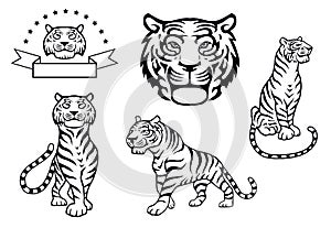 Black and white tiger illustrations