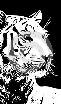 Black and white tiger portrait vector illustration