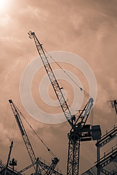 Black and white toned cranes