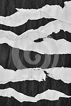 Black and White Torn Paper Collage Style, Ripped Paper Effect, Texture Abstract Background, Copy Space for Text