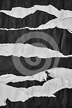 Black and White Torn Paper Collage Style, Ripped Paper Effect, Texture Abstract Background, Copy Space for Text