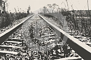 Black and white train tracks