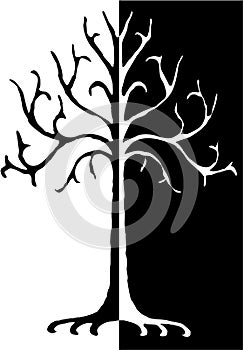 Black white tree illustration