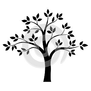 Black and white tree. Vector
