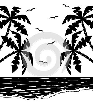 Black and white tropical landscape